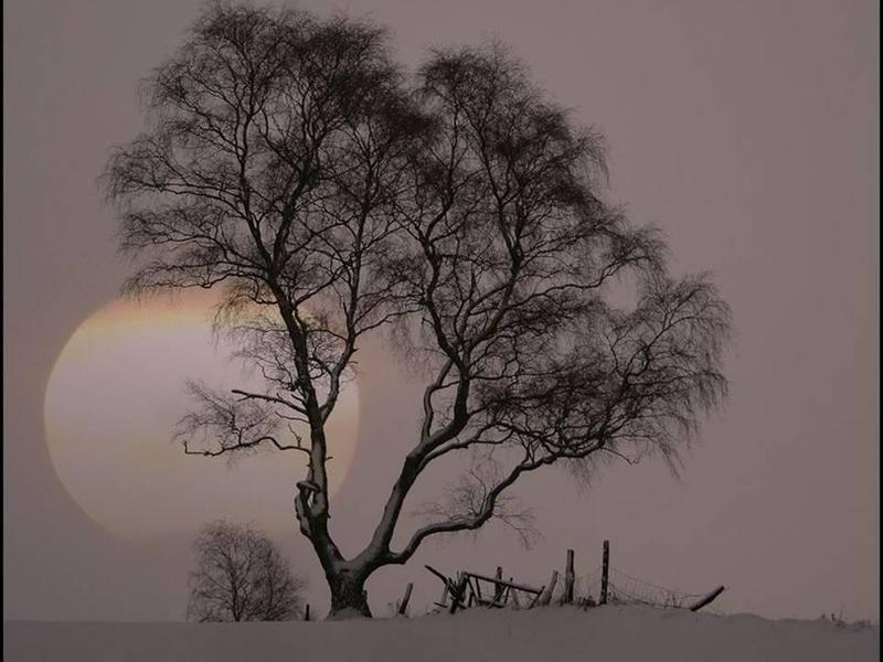 Désert. dans Liens lune-hiver